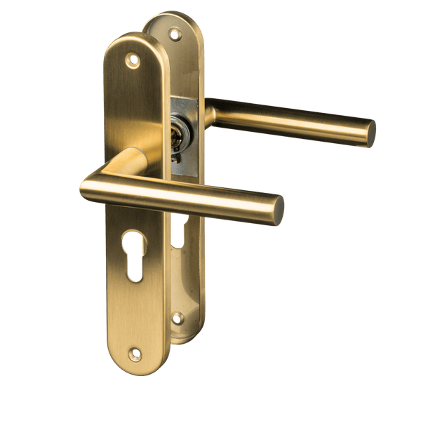 Andria - Gouden Deurklink Cilindergat Rond Lang Schild - PC 55mm