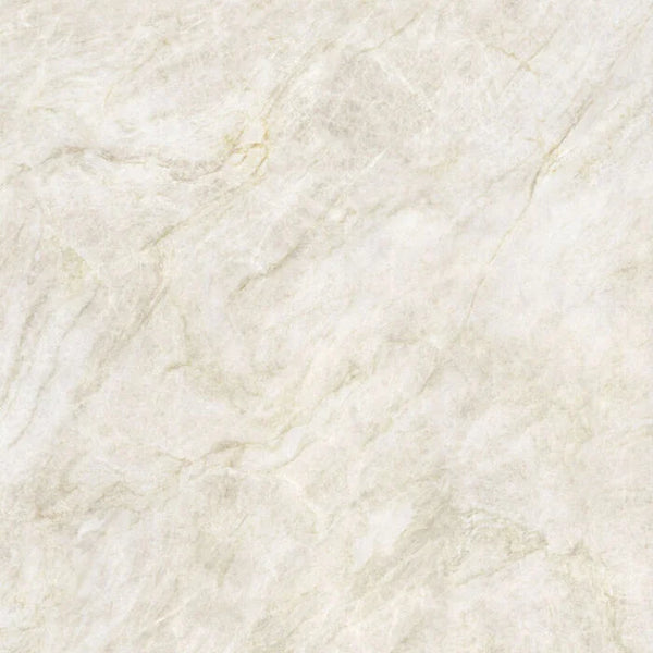 Taj Mahal Nature gepolijst 120x120 rett