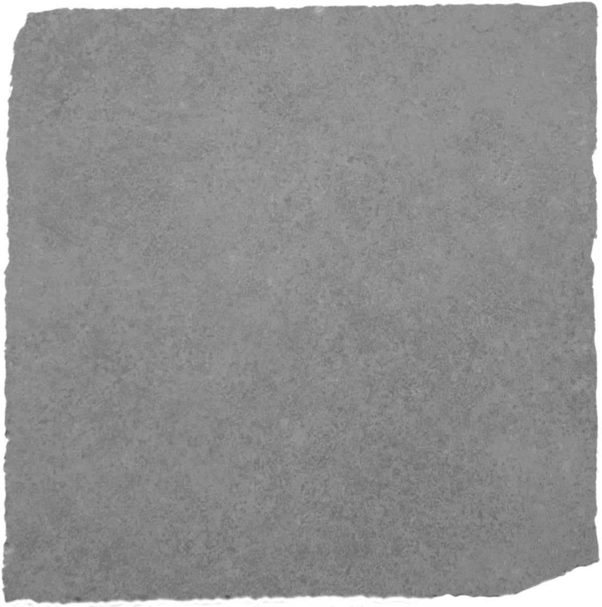 Vloer- en wandtegel Pietra Gris getrommeld 15x15