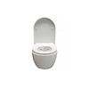 Wandcloset Easy Flush standaard - WDtegels
